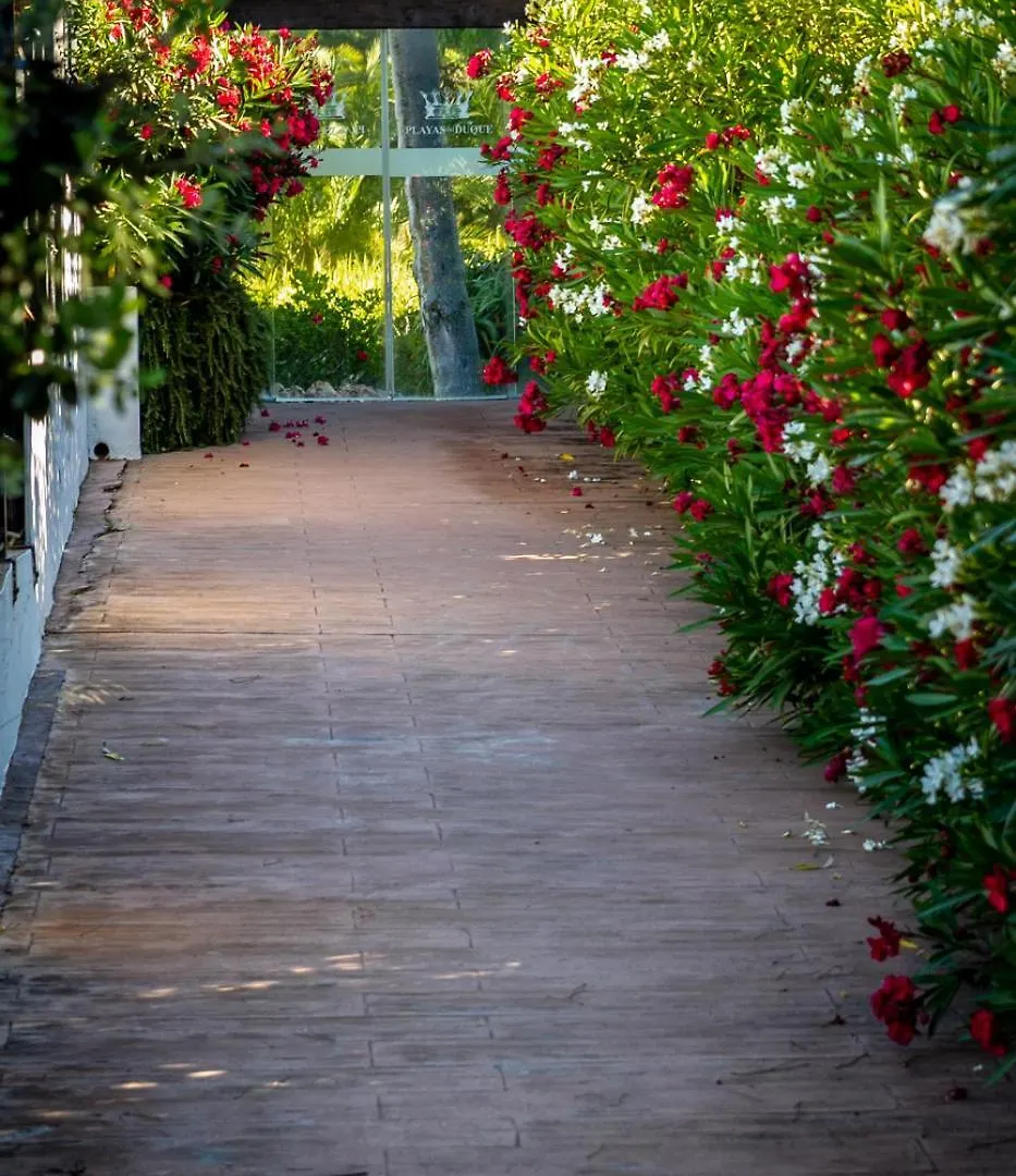Marbella Banus Suites - Daisy Playas Del Duque Banus Beach Apartment 0*,